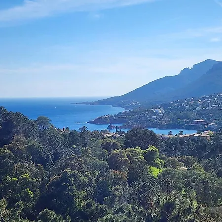 Vue Et Piscine Théoule-sur-Mer